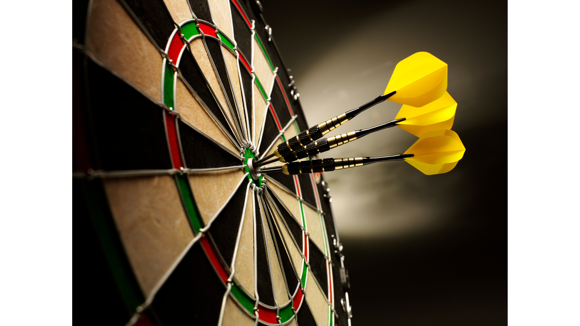 An Image representing a brand logo and visual identity
